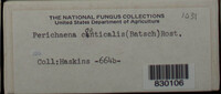 Image Associated With the Occurence